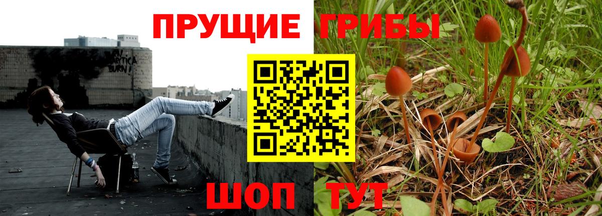 Мариинск  Псилоцибиновые грибы Psilocybine cubensis  Вход с VPN 